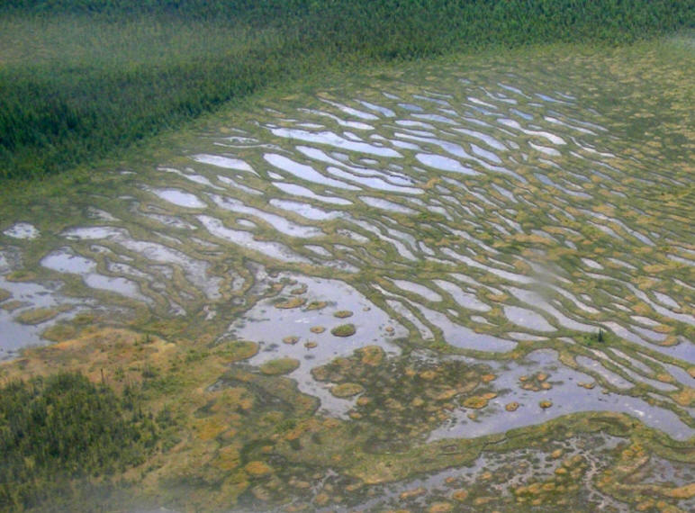 Photo aérienne de la tourbière Cikwanikaci