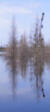 Sur la rivière Bernetz